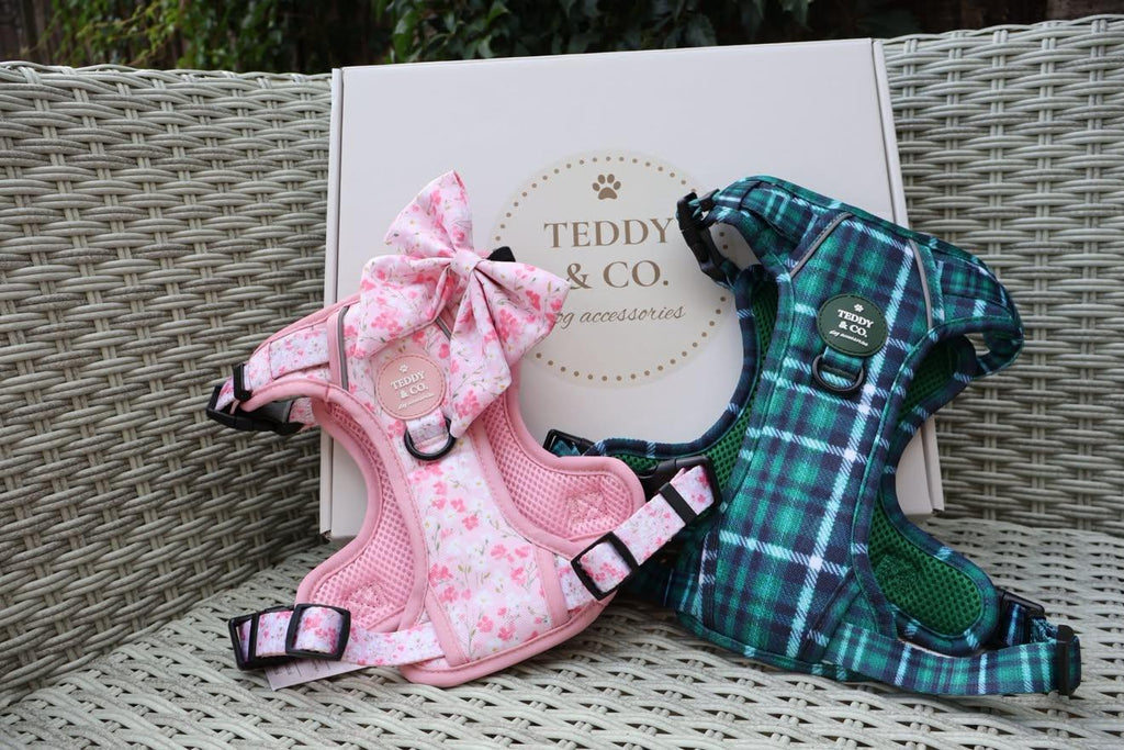The Signature Harness - The Highland Collection
