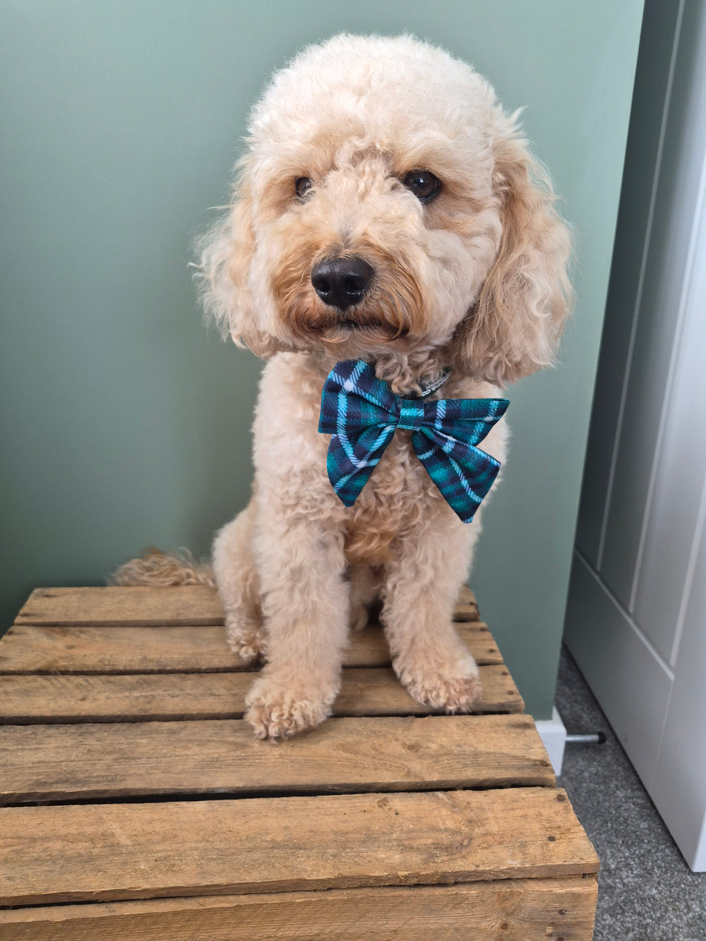 Sailor Bow Tie - The Highland Collection