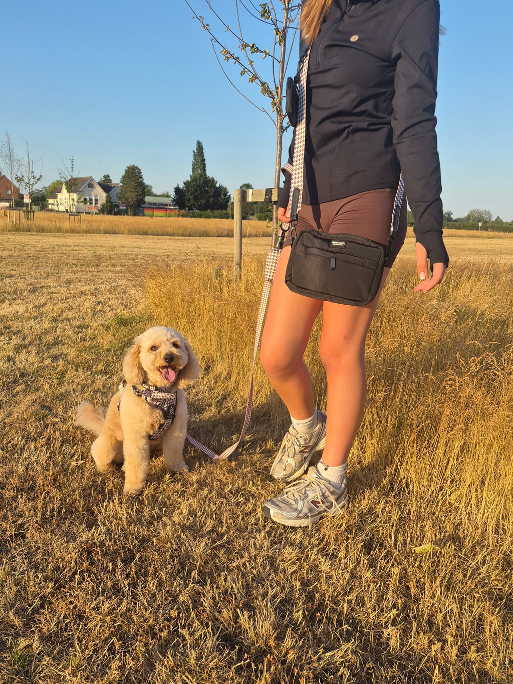 Dog Walking Bag - The Cocoa Collection