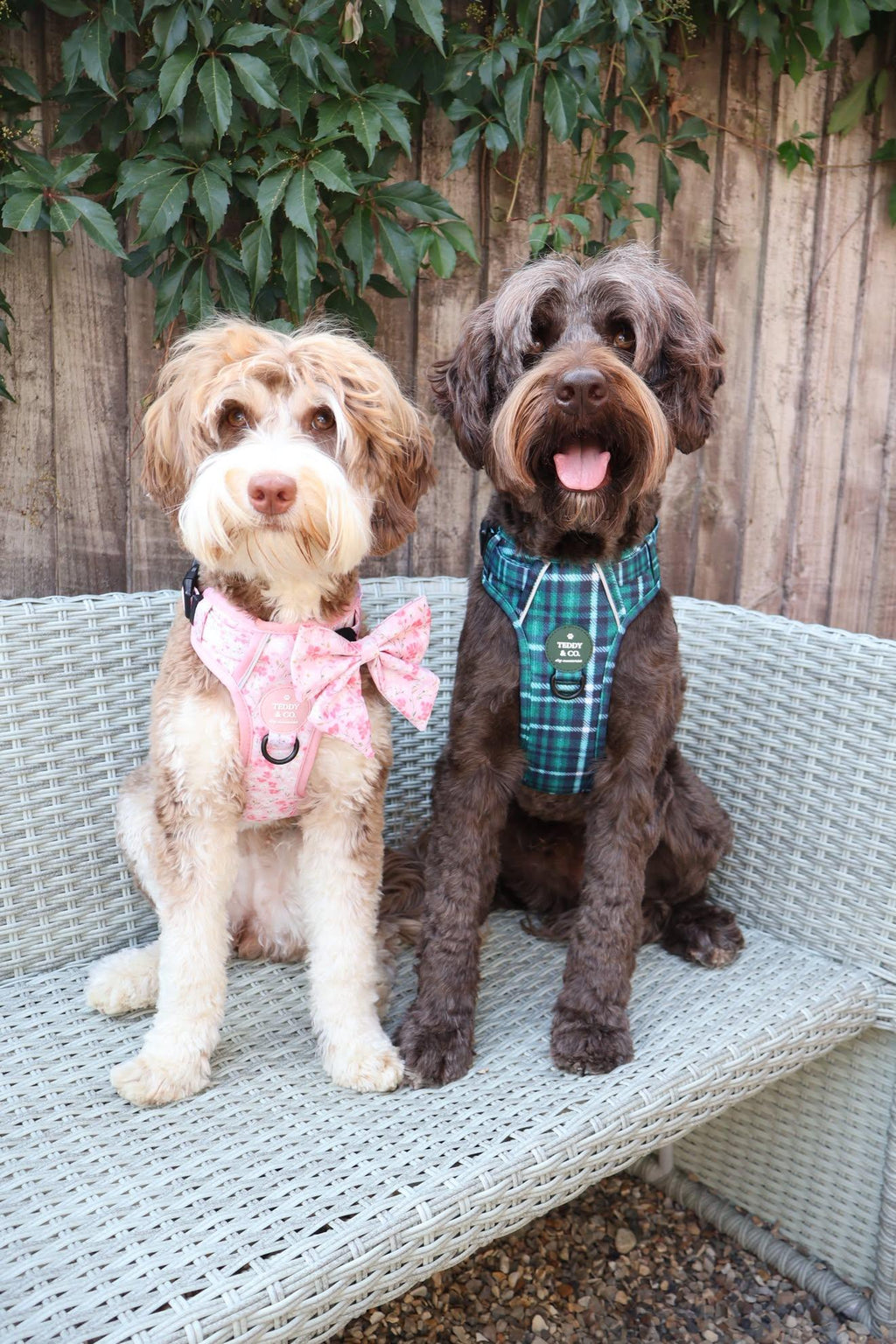 The Signature Harness - The Blossom Collection