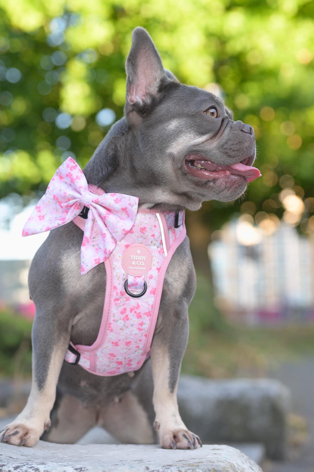 Sailor Bow Tie - The Blossom Collection
