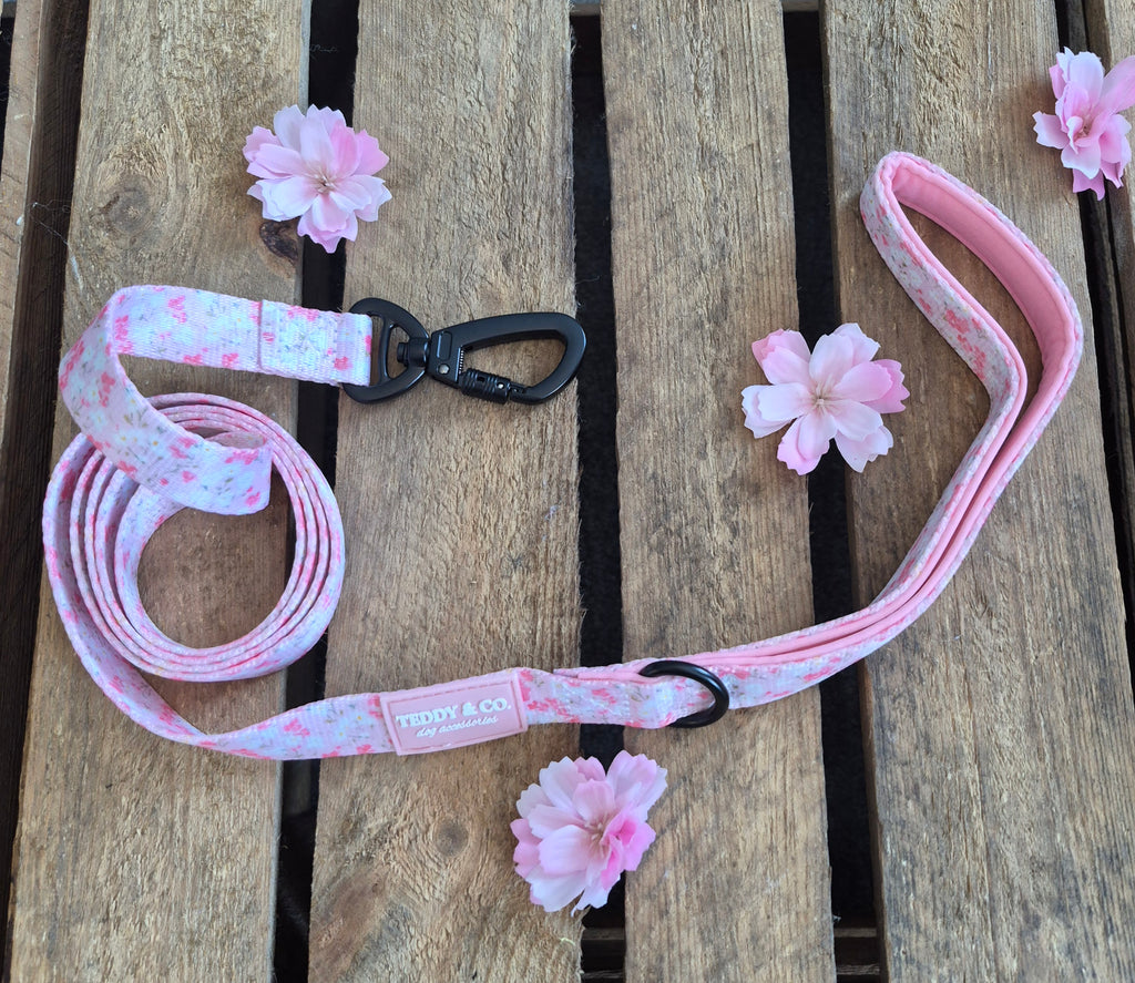 The Blossom Collection Ultimate Set