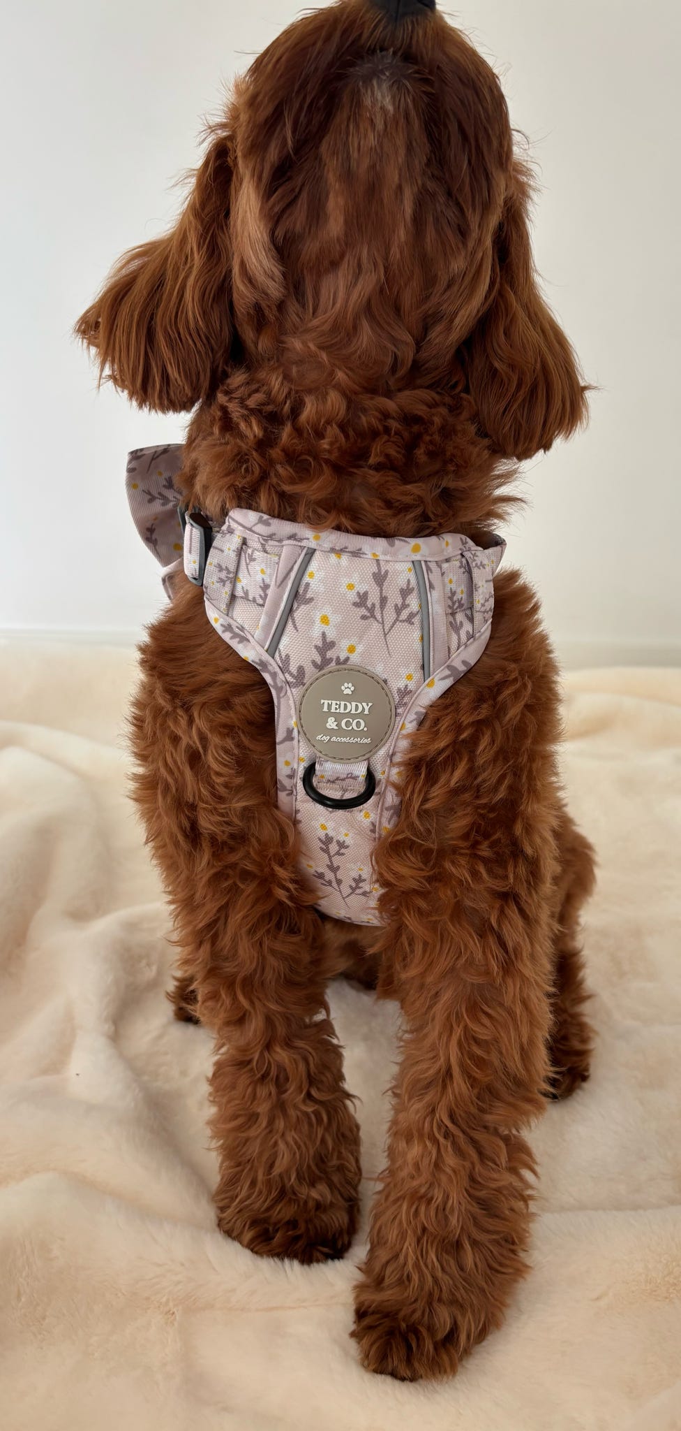 The Signature Harness - The Meadow Collection