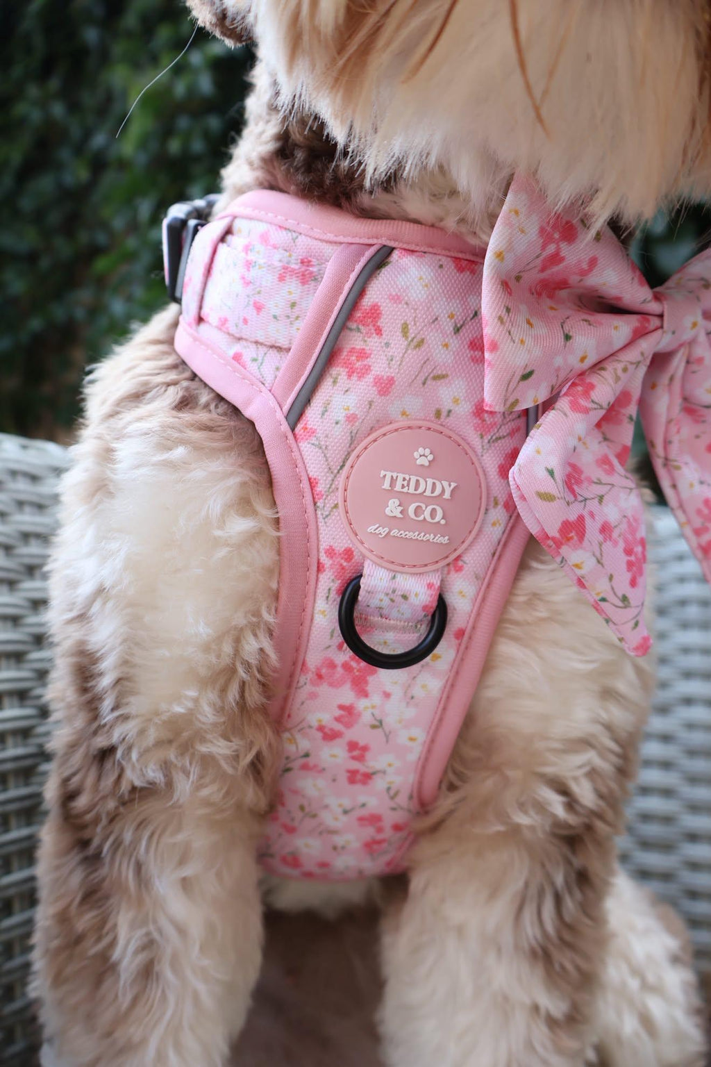 The Signature Harness - The Blossom Collection