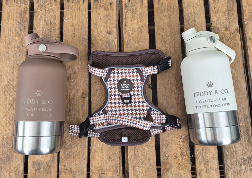 The Adventure Bottle