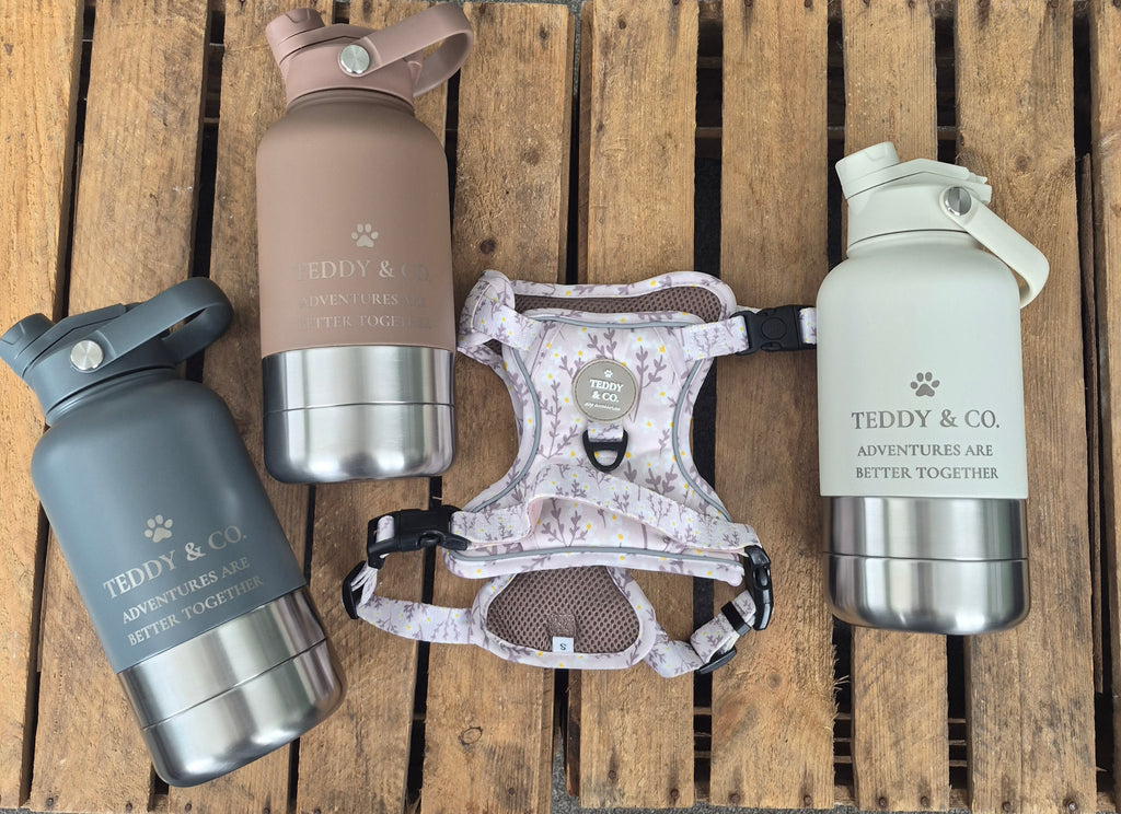 The Adventure Bottle
