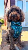 Bow Tie - The Highland Collection