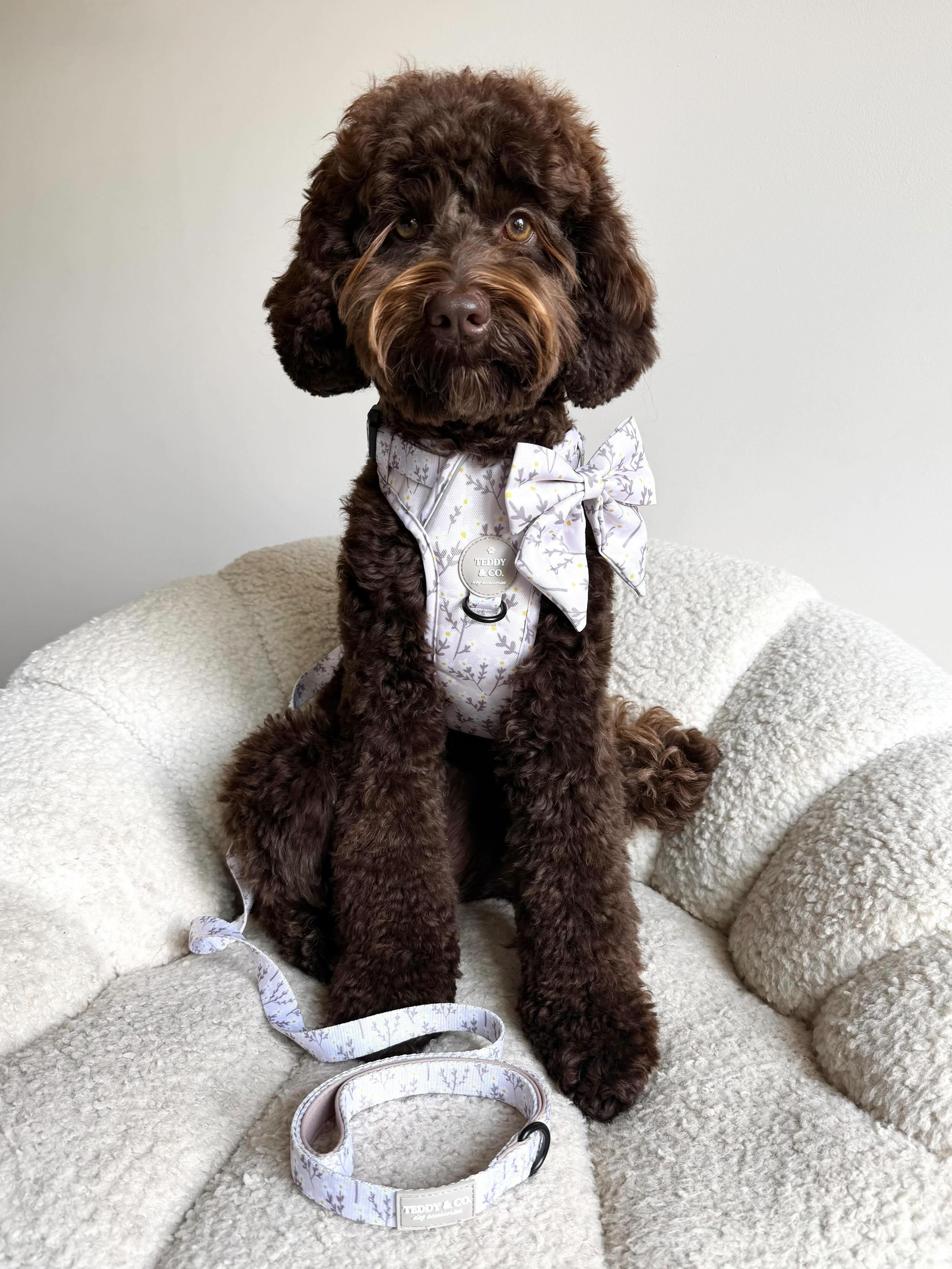 Sailor Bow Tie - The Meadow Collection