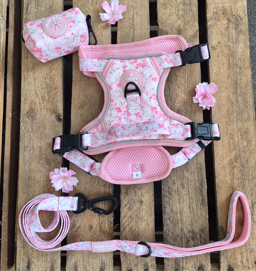 The Blossom Collection Everyday Walk Set