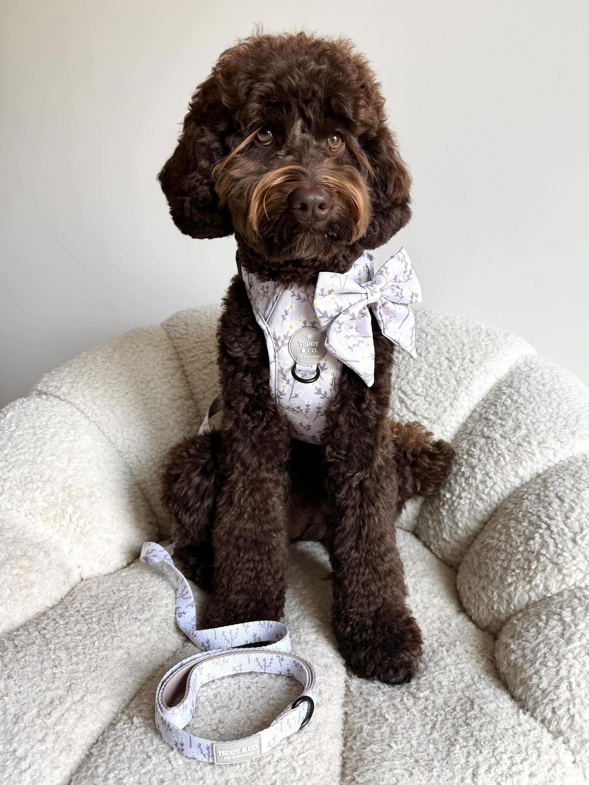 Sailor Bow Tie - The Meadow Collection