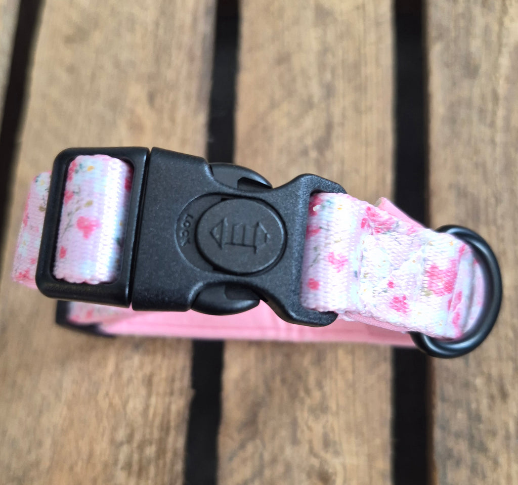 Collar - The Blossom Collection