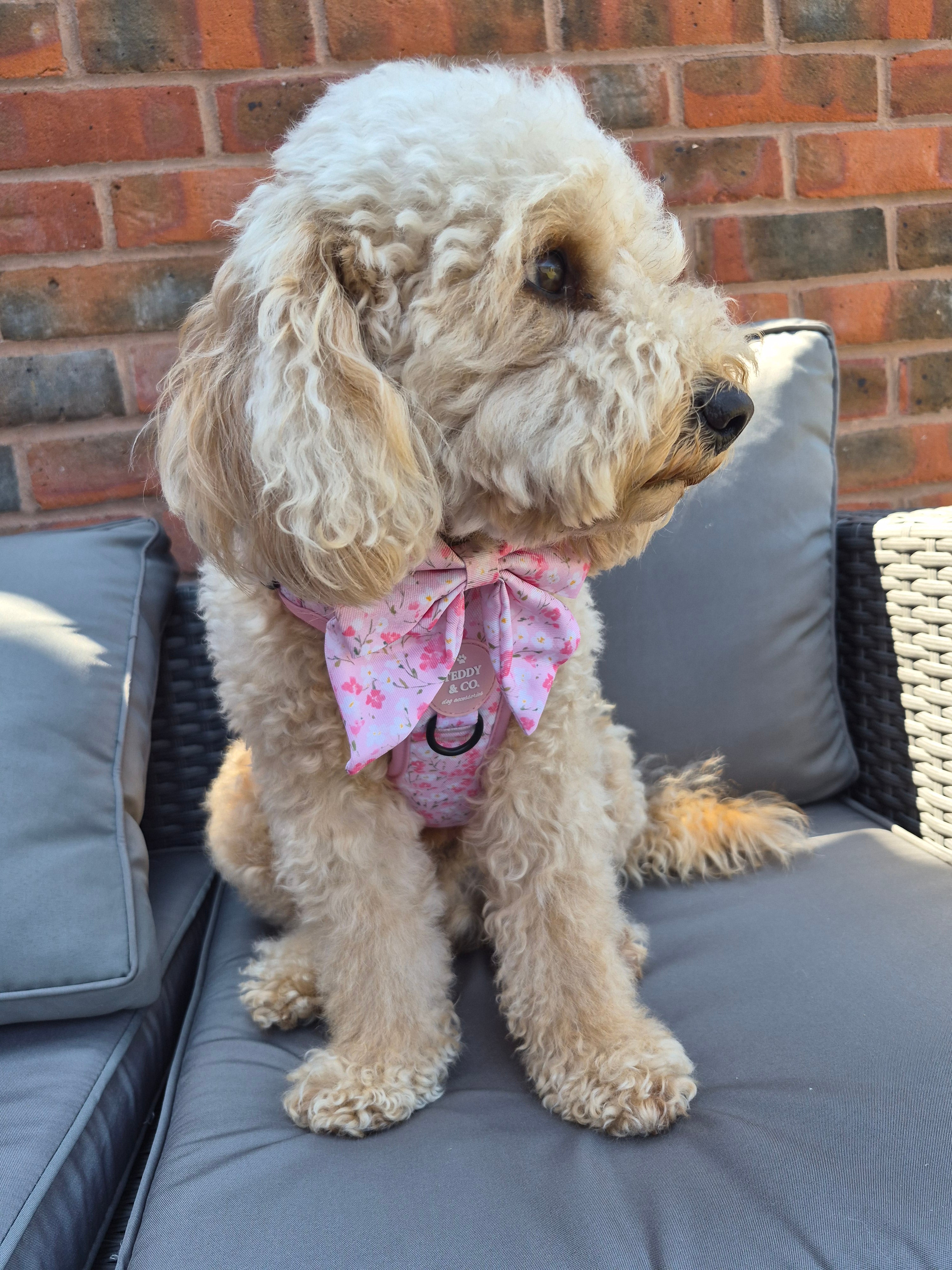 Sailor Bow Tie - The Blossom Collection