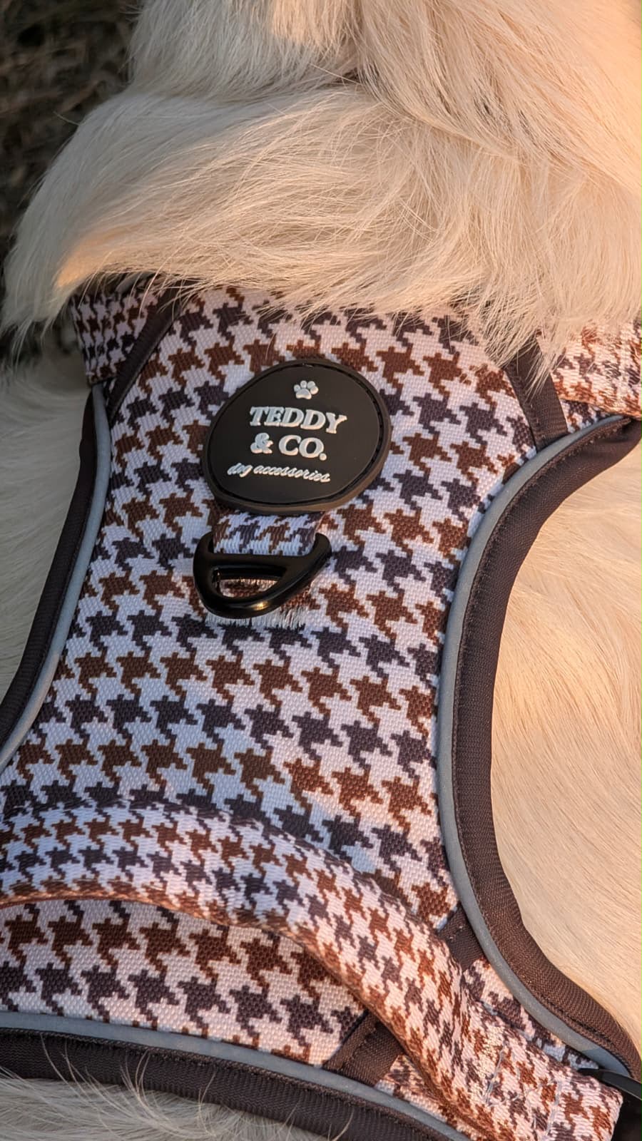 The Signature Harness - The Cocoa Collection