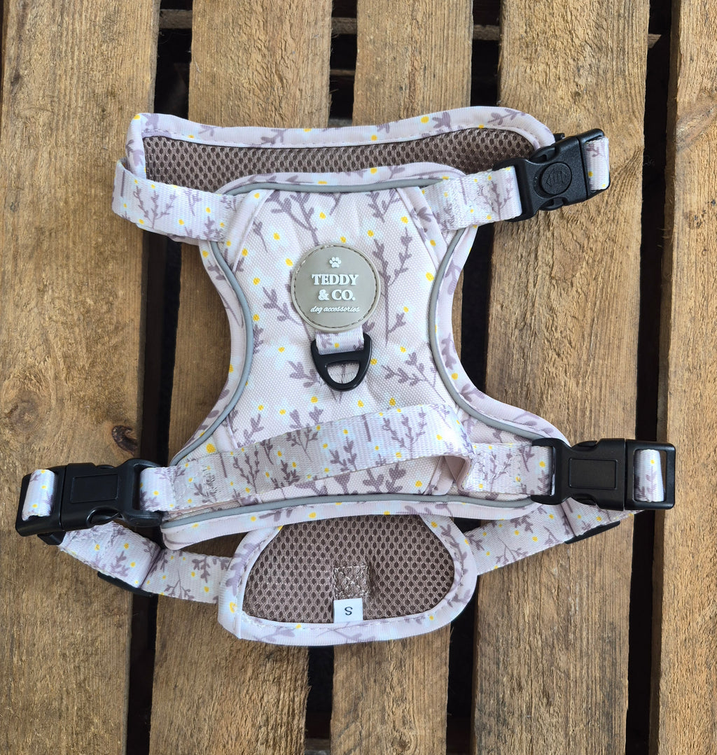 The Meadow Everyday Walk Set