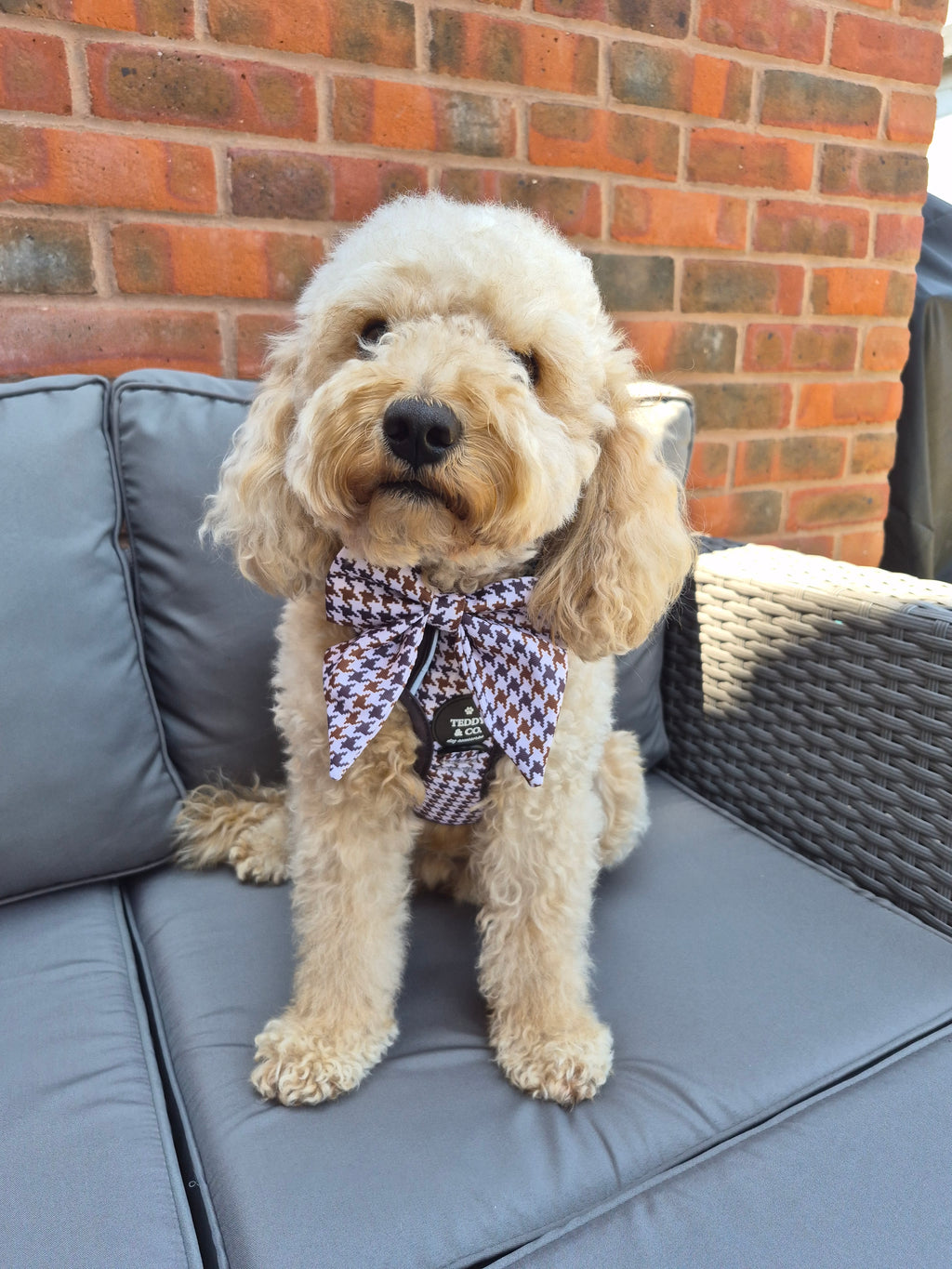 Sailor Bow Tie - The Cocoa Collection