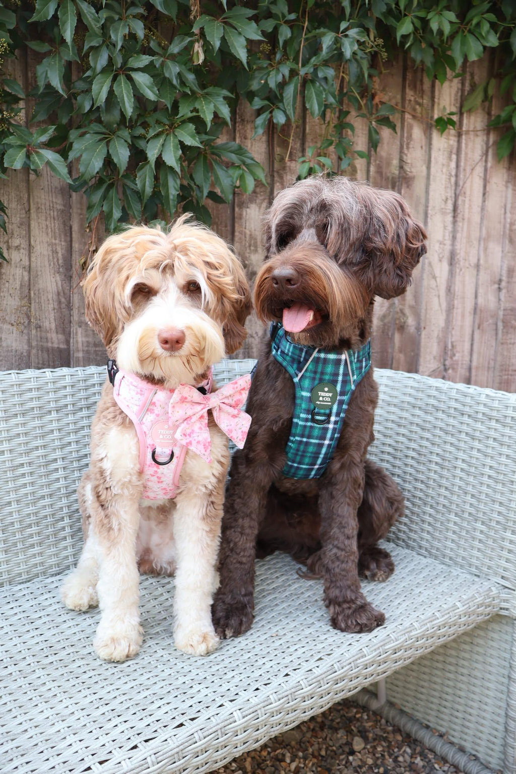 The Signature Harness - The Highland Collection