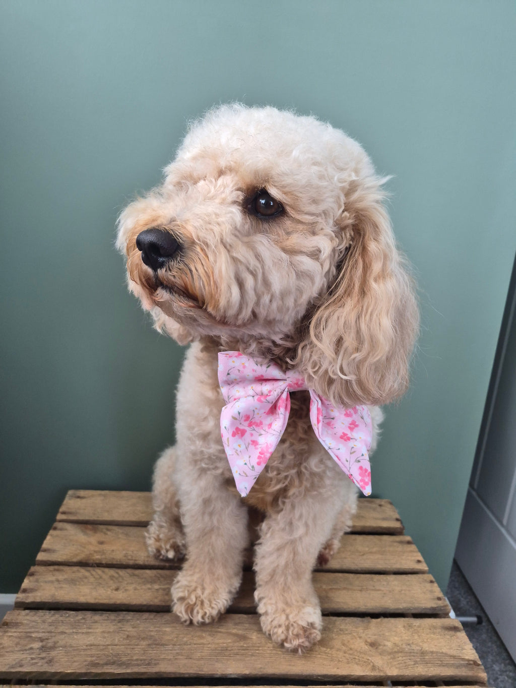 Sailor Bow Tie - The Blossom Collection